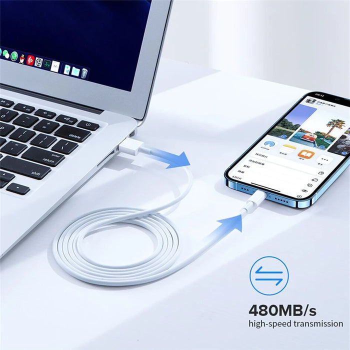 iPhone Charging Cable